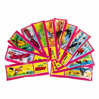 Avi&otilde;es de Espuma P&aacute;ssaros em Display (48 un.)