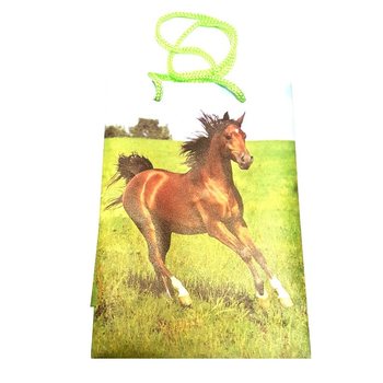 SACOS DE EMBALAGEM MIX ANIMAIS - 12x17.5 (12 unid)