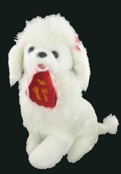 LINDO POODLE COM CORAÇÃO
