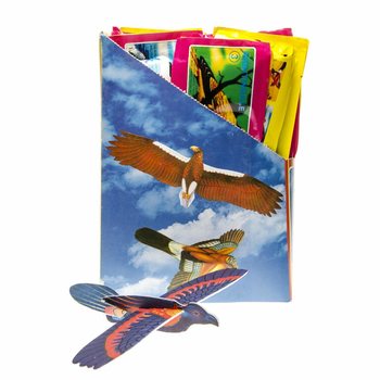Aviões de Espuma Pássaros em Display (48 un.)