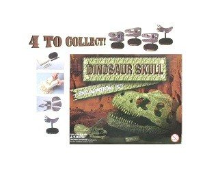 Kit de Escavação de Crânio de Dinossauro (12 un.)
