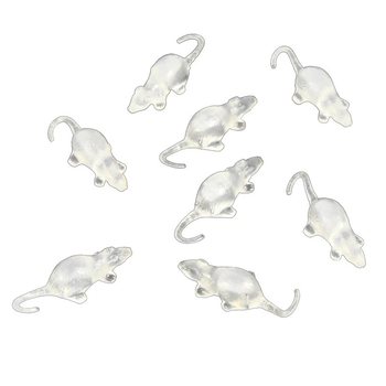 8 RATINHOS TRANSPARENTES EM REDE (12 redes)