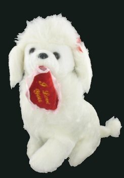 LINDO POODLE COM CORA&Ccedil;&Atilde;O